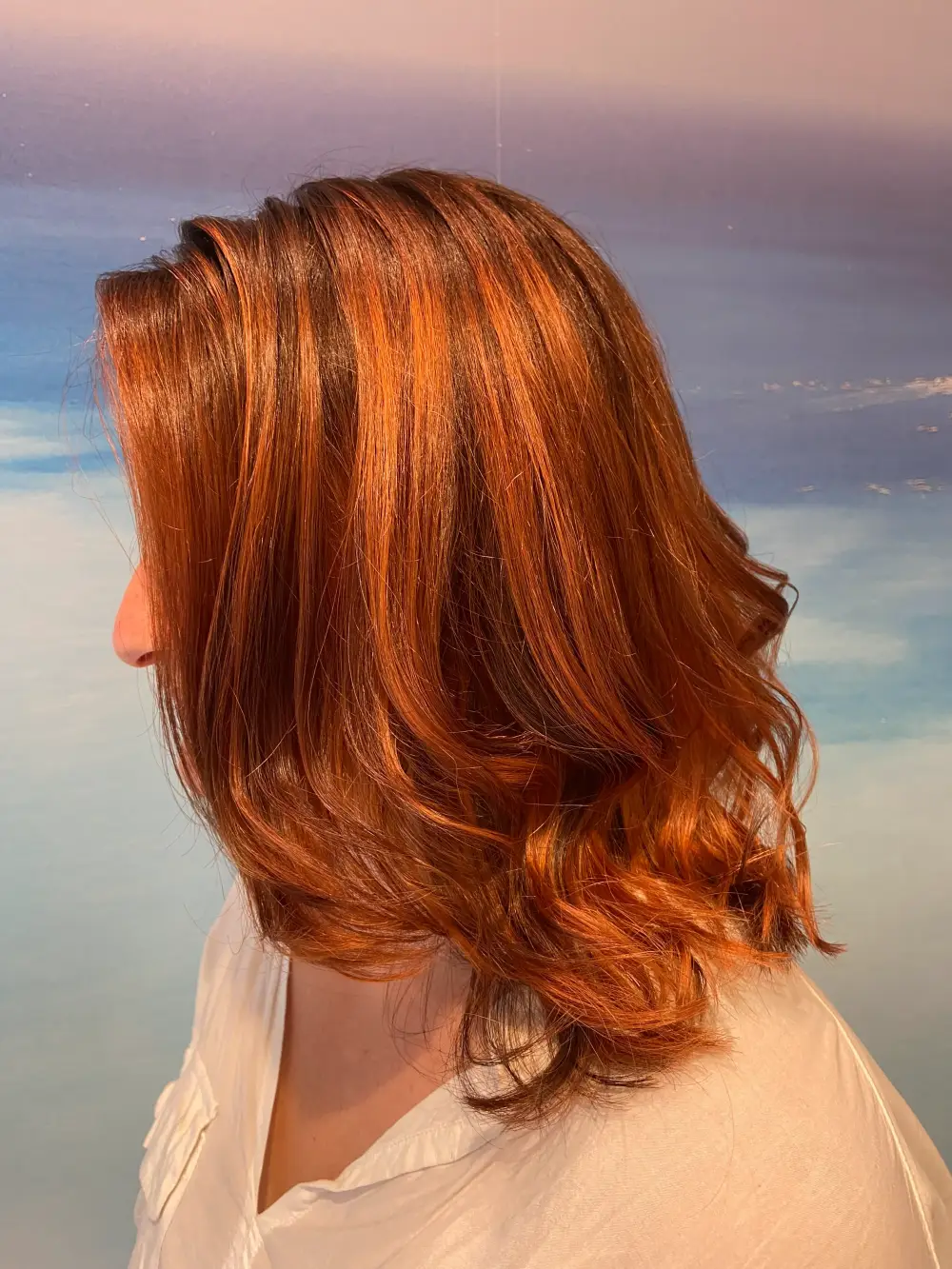 Salon-coiffure-roosevelt (7)