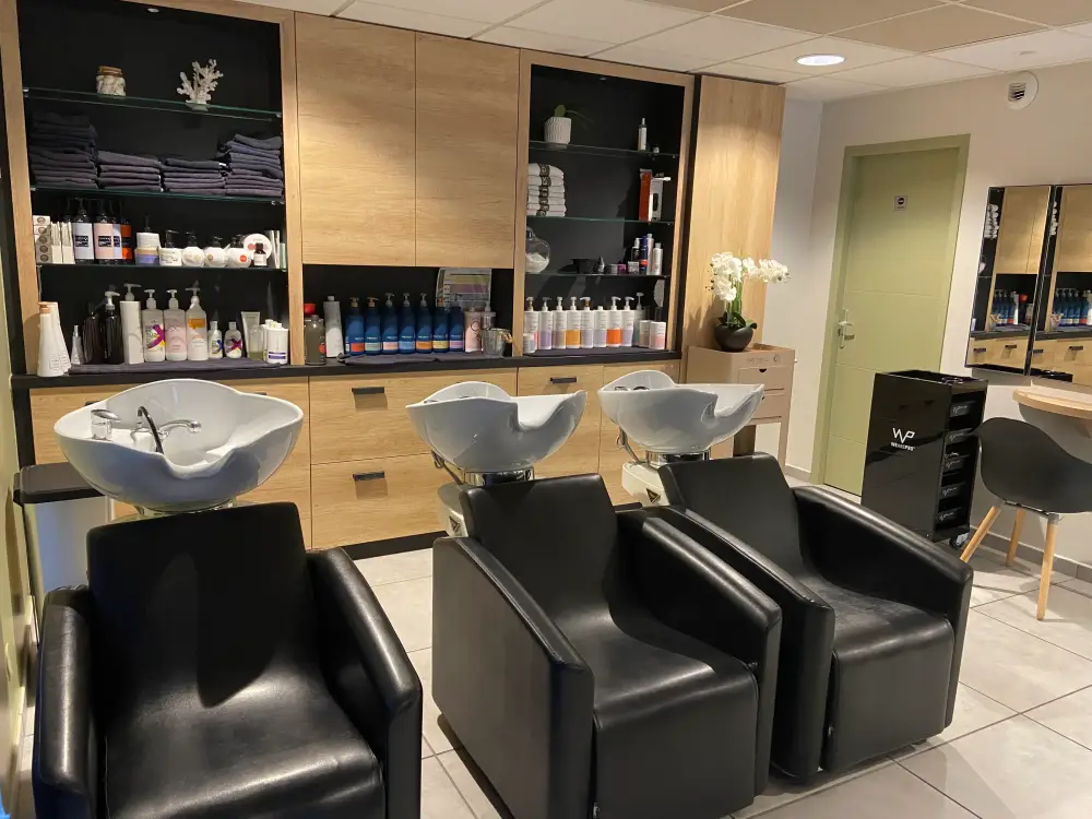 Salon-coiffure-roosevelt